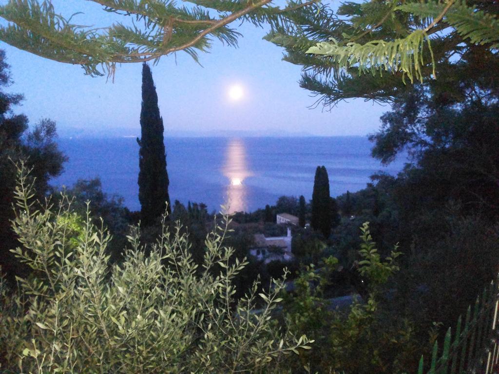 Villa Emily Αχίλλειο Δωμάτιο φωτογραφία