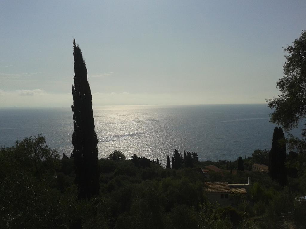 Villa Emily Αχίλλειο Δωμάτιο φωτογραφία