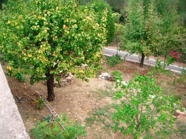 Villa Emily Αχίλλειο Δωμάτιο φωτογραφία