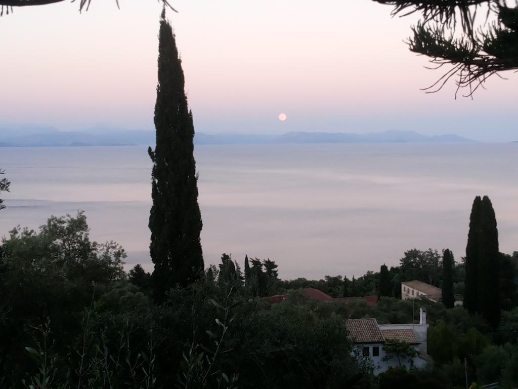 Villa Emily Αχίλλειο Δωμάτιο φωτογραφία