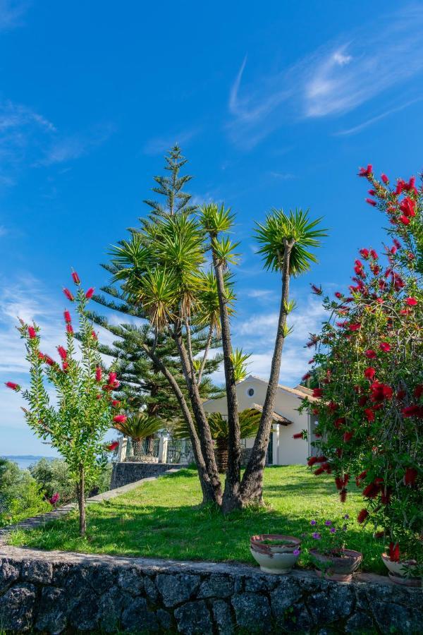 Villa Emily Αχίλλειο Εξωτερικό φωτογραφία